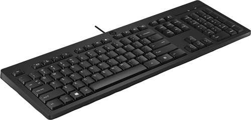 HP 125 toetsenbord met kabel-2