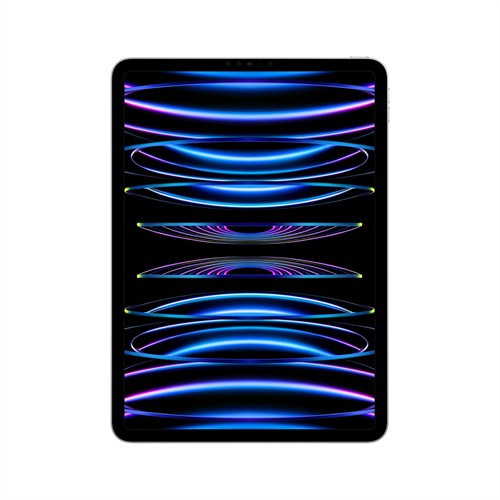 Apple iPad Pro 1000 GB 27,9 cm (11") Apple M 16 GB Wi-Fi 6E (802.11ax) iPadOS 16 Zilver