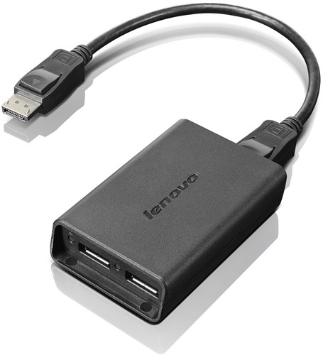 Lenovo DisplayPort to Dual-DisplayPort Monitor Cable USB-kabel USB A Zwart