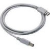 Datalogic Straight Cable - Type A USB USB-kabel 2 m