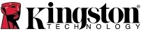 Kingston Technology 256GB microSDXC End 95R/45W C10 A1 UHS-I