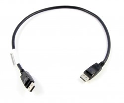 Lenovo 0.5m DisplayPort 0,5 m Zwart