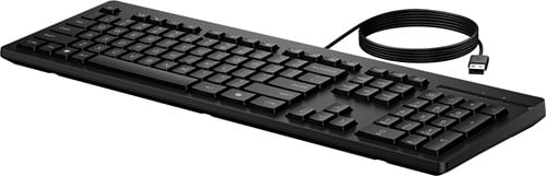 HP 125 toetsenbord met kabel-3