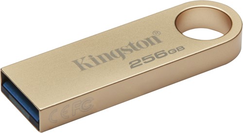 Kingston Technology DataTraveler 256GB 220MB/s Metal USB 3.2 Gen 1 SE9 G3-2
