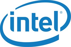 Intel AXXADPVIDCBL VGA kabel VGA (D-Sub)