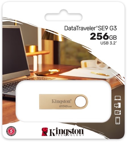 Kingston Technology DataTraveler 256GB 220MB/s Metal USB 3.2 Gen 1 SE9 G3-3