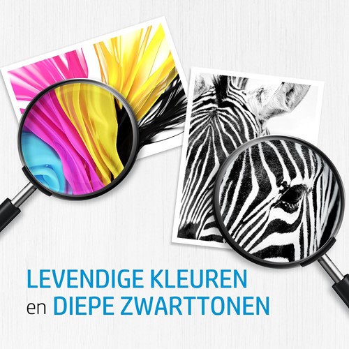 Extra afbeelding voor 8043