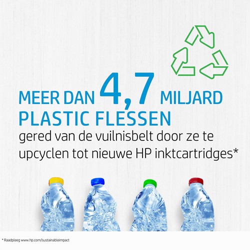 HP 300 originele zwarte inktcartridge-3