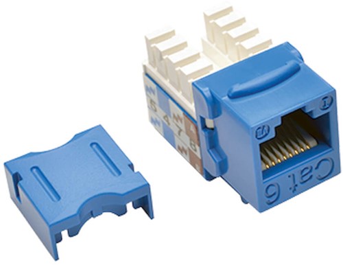 Tripp Lite N238-001-BL wandcontactdoos RJ-45 Blauw