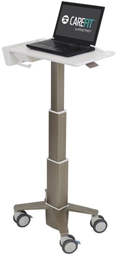 Ergotron C50-1100-0 notebookstandaard Grijs 39,6 cm (15.6")
