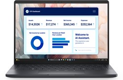 DELL Pro 13 Premium PA13250 Copilot+ PC Intel Core Ultra 7 266V Laptop 33,8 cm (13.3") Full HD+ 16 GB LPDDR5x-SDRAM 512 GB SSD Wi-Fi 7 (802.11be) Windows 11 Pro Engels Grijs