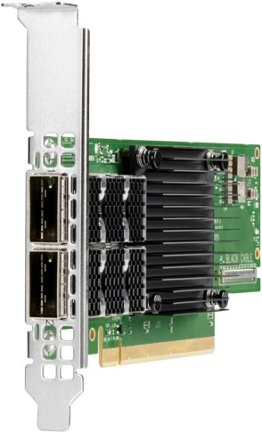 HPE P06251-B21 netwerkkaart Intern Ethernet / Fiber 100000 Mbit/s