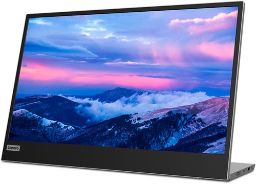 Lenovo L15 LED display 39,6 cm (15.6") 1920 x 1080 Pixels Full HD Zwart, Grijs