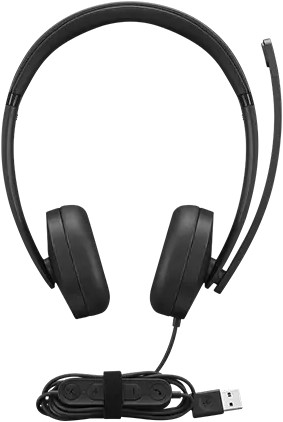 Lenovo 4XD1P83425 hoofdtelefoon/headset Bedraad Hoofdband Oproepen/muziek USB Type-A Zwart