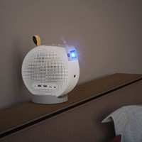 Extra afbeelding voor 911093