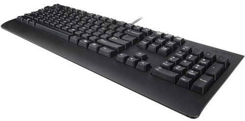 Lenovo 4X30M86889 toetsenbord USB QWERTY Nederlands Zwart