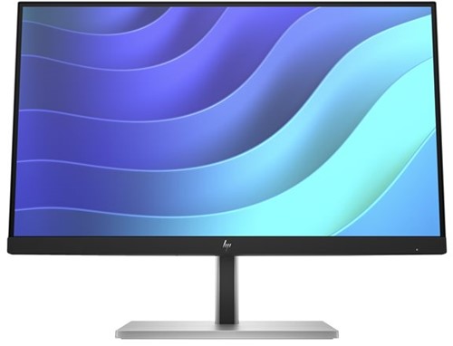 HP E-Series E22 G5 54,6 cm (21.5") 1920 x 1080 Pixels Full HD LED Zwart, Zilver