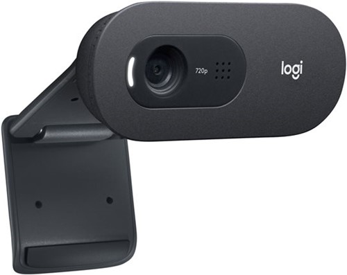 Logitech C505e webcam 1280 x 720 Pixels USB Zwart