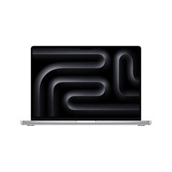 Apple MacBook Pro M4 Pro 16 48GB 512GB SSD Zilver