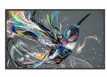 Philips 65BDL3650QE/00 beeldkrant Digitale signage flatscreen 165,1 cm (65") LCD Wifi 300 cd/m² 4K Ultra HD Zwart Type processor Android 10 18/7