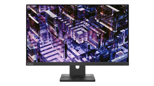 Lenovo ThinkVision E24q-30 computer monitor 60,5 cm (23.8") 2560 x 1440 Pixels 2K Ultra HD LED Zwart