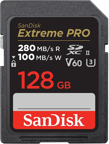 SanDisk SDSDXEP-128G-GN4IN flashgeheugen 128 GB SDXC UHS-II Klasse 10